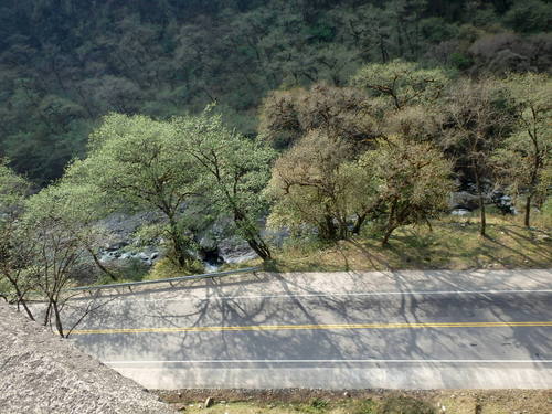 Looking down.
